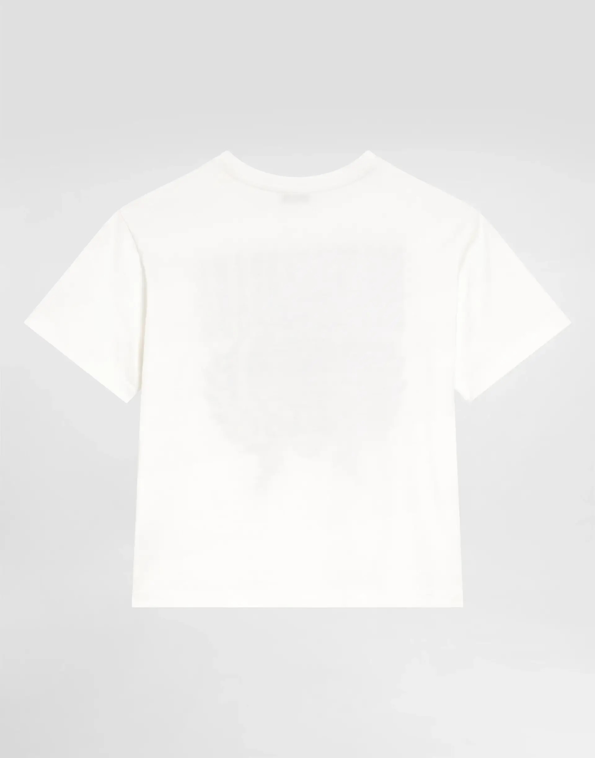 Dolce & Gabbana Kids dziecięcy T-shirt z nadrukiem Dolce&Gabbana